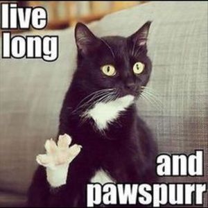 Meet your Posher, Barbara